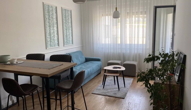 Zeus Apartments - One Bedroom Apartment with Balcony in City Center in Banja Luka
