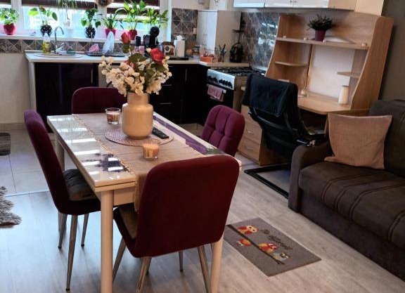 Apartament 2 camere in Chiajna