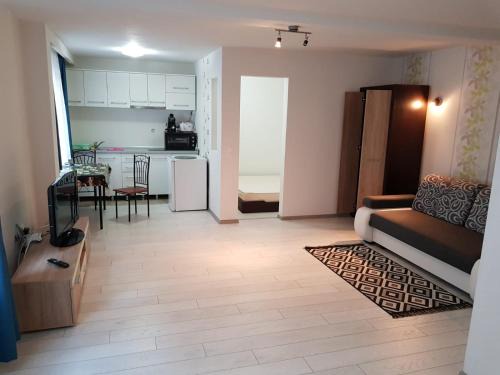 Apartament Central 