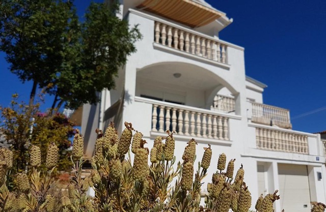 Apartman 
