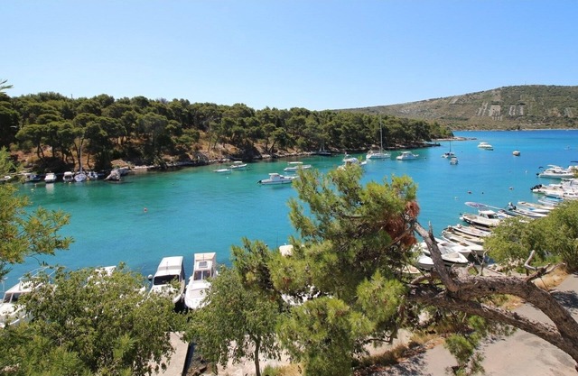 Ferienwohnungen Elvi Position Riviera Sibenik 