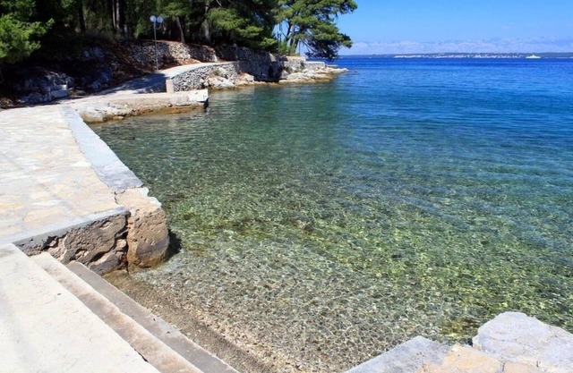 Apartment Ružica - 50m from the sea A2-Magnolija(3) - Lukoran, Island Ugljan, Croatia