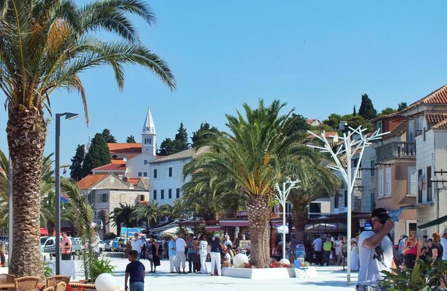 Jerkunica 