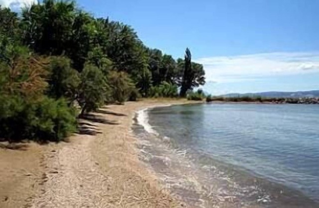 Apartments Mirko, (11152), Duće, Croatia in Duce