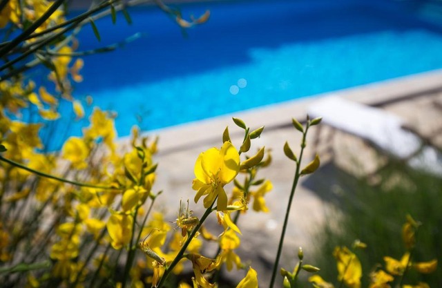 Villa Menta 1 in Bajčići