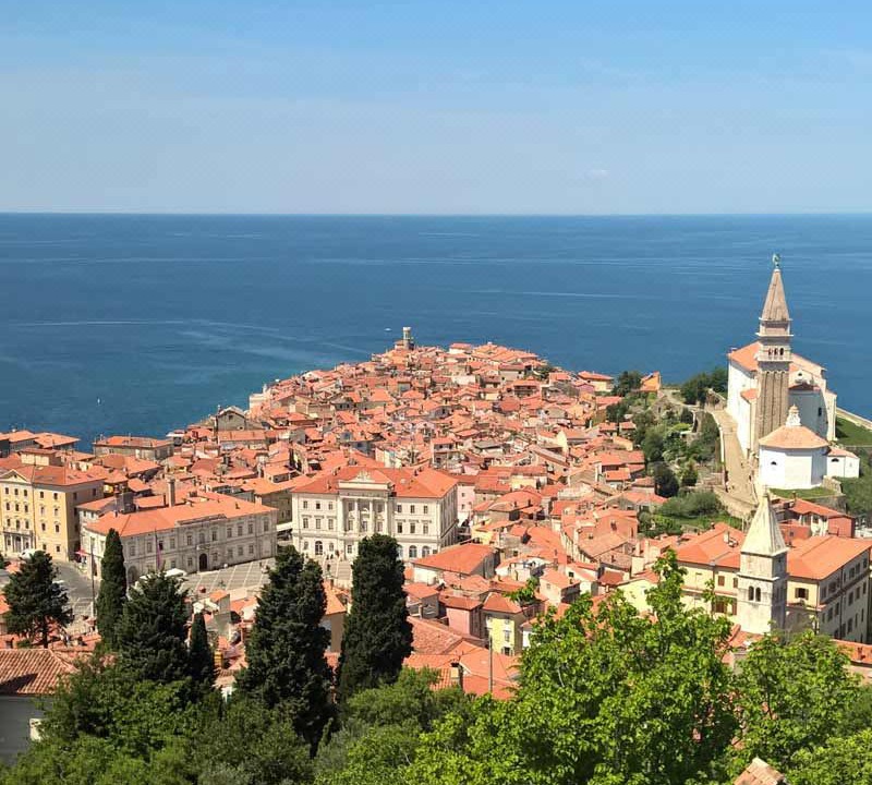Photo of Others in Strunjan