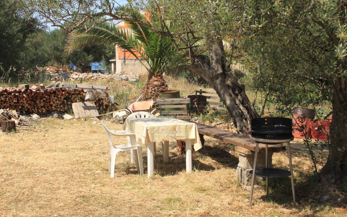 Photo of Others in Luka