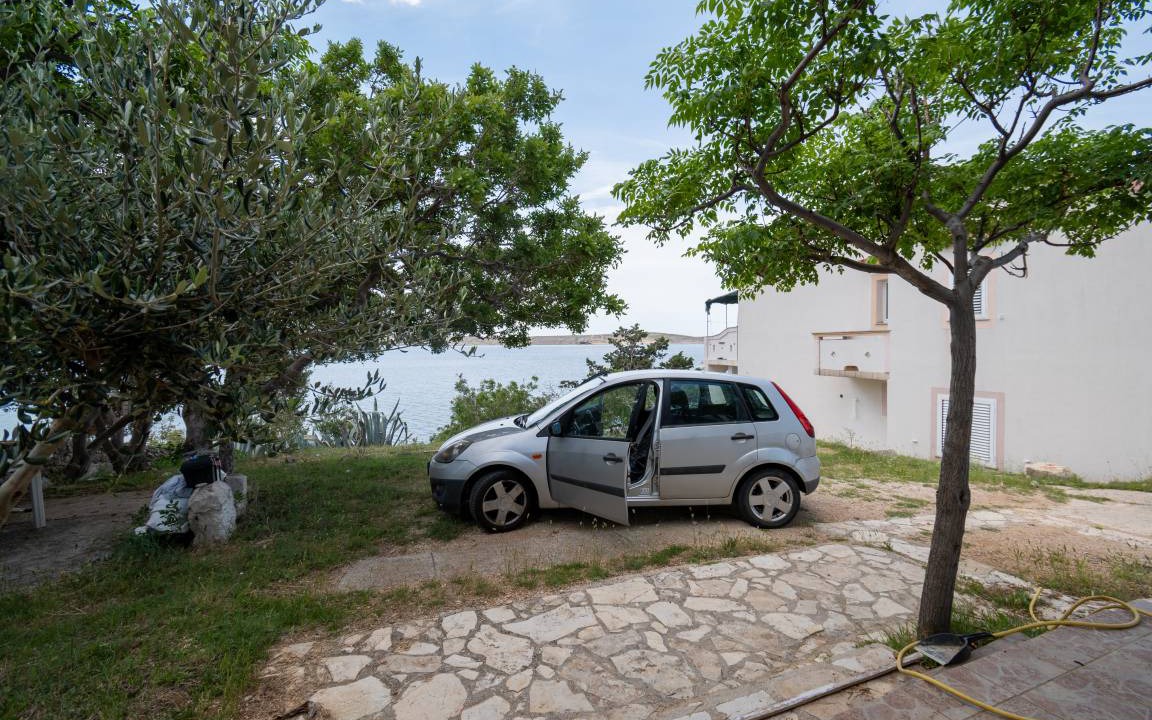 Photo of Others in Vidalici