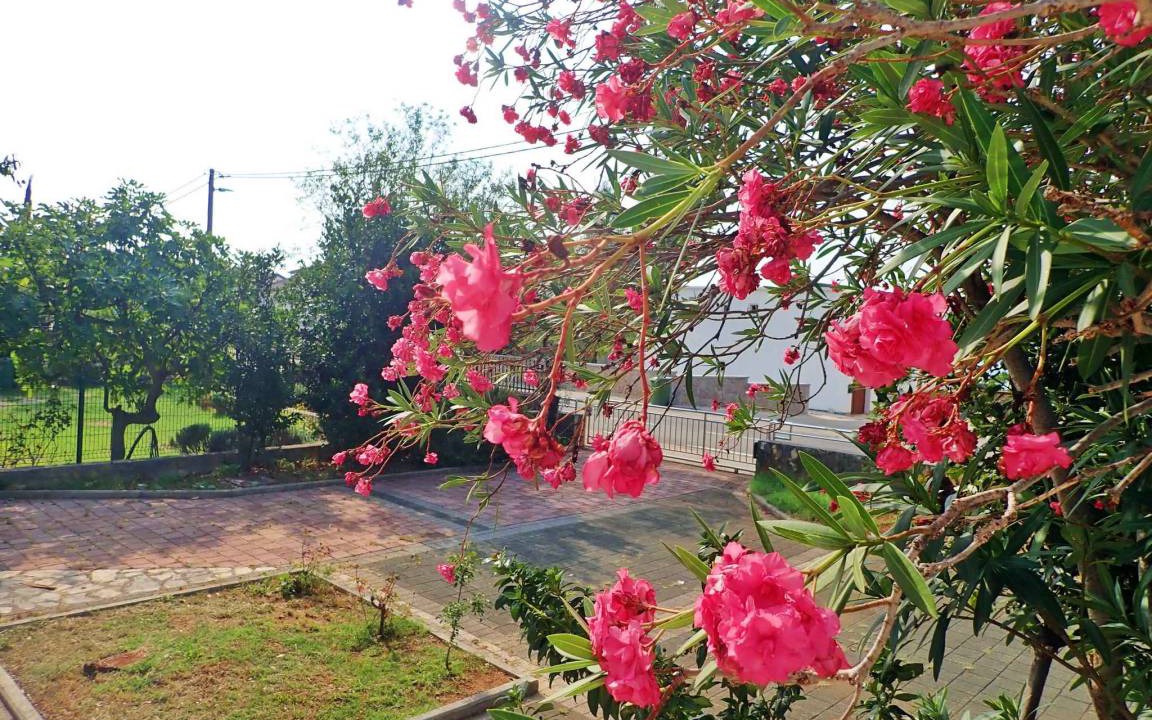 Photo of Outdoor in Seline