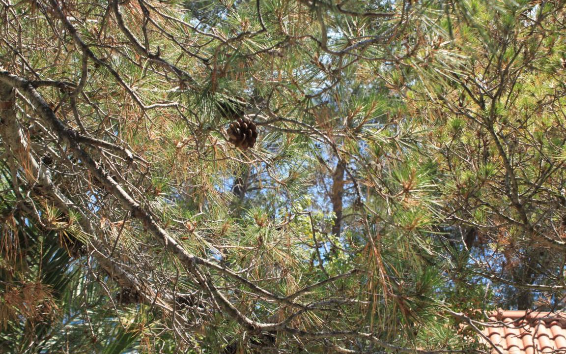 Photo of Others in Island Dugi Otok