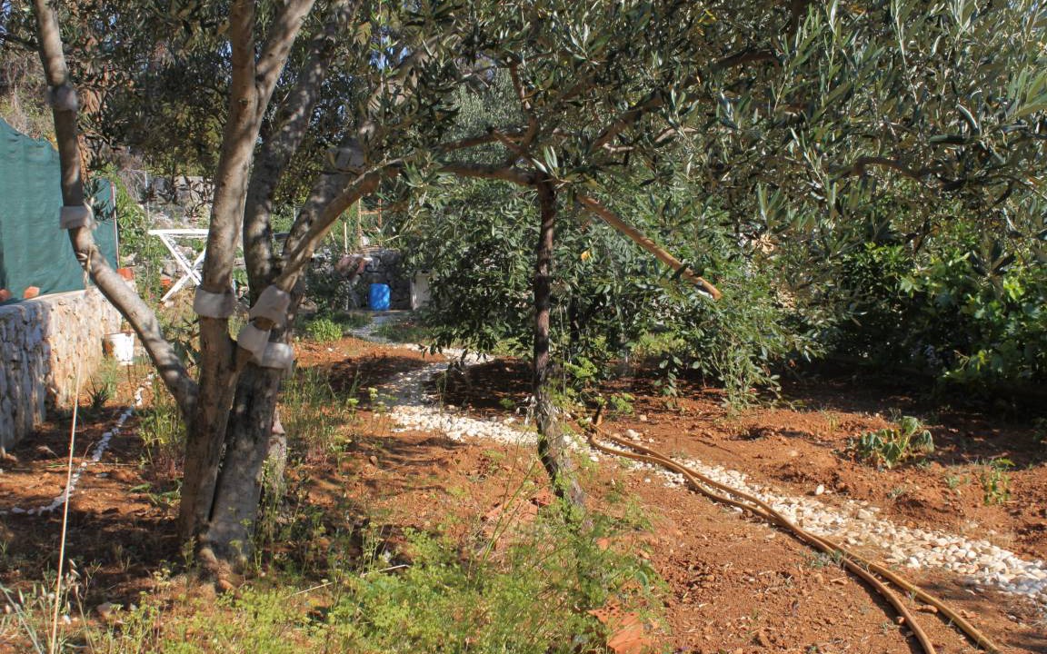 Photo of Others in Cove Murtar