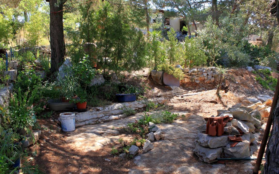 Photo of Others in Island Dugi Otok