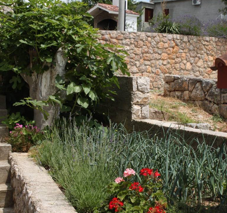 Photo of Others in Maslenica