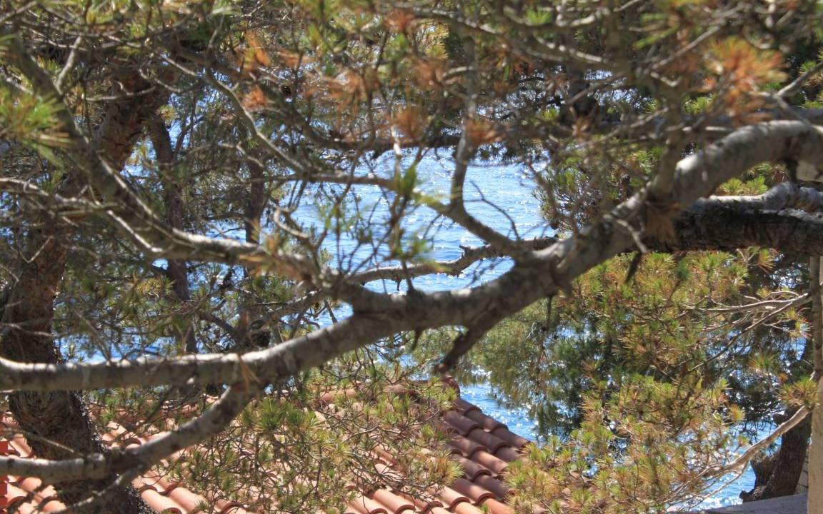 Photo of Others in Island Dugi Otok