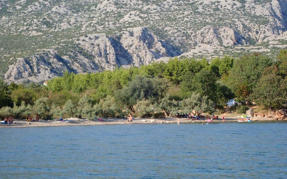 Photo of Others in Seline