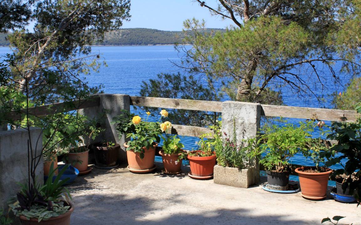 Photo of Others in Island Dugi Otok