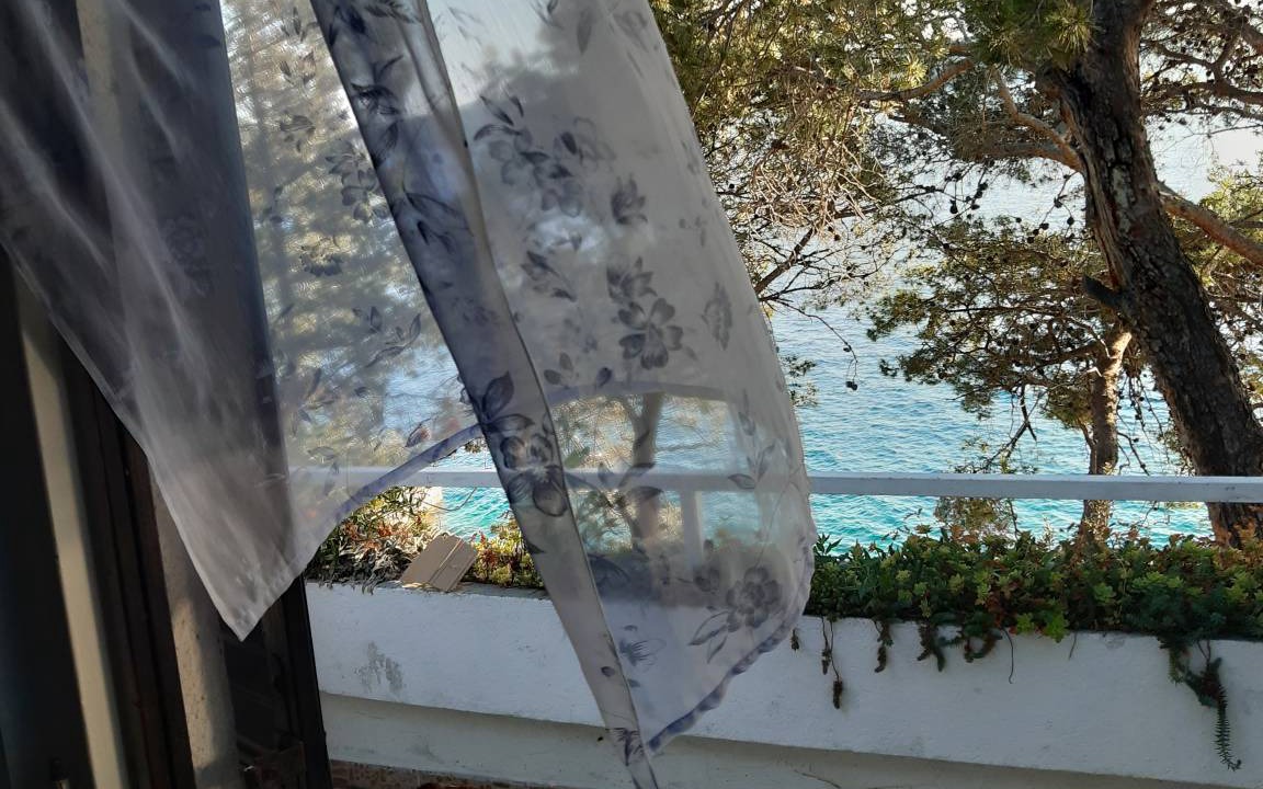 Photo of Others in Island Dugi Otok