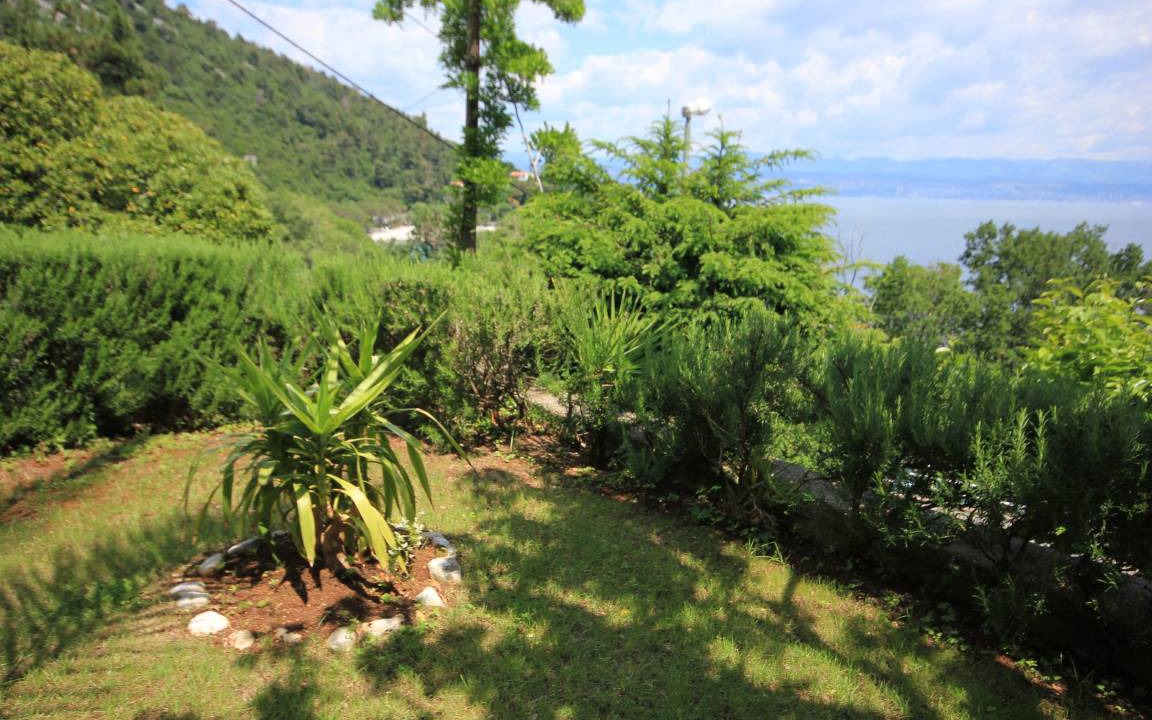 Photo of Others in Medveja