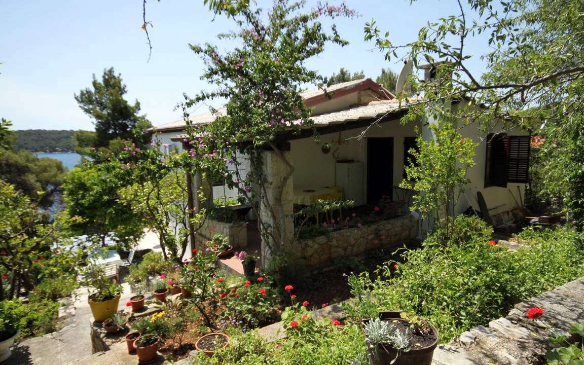 Photo of Others in Cove Murtar