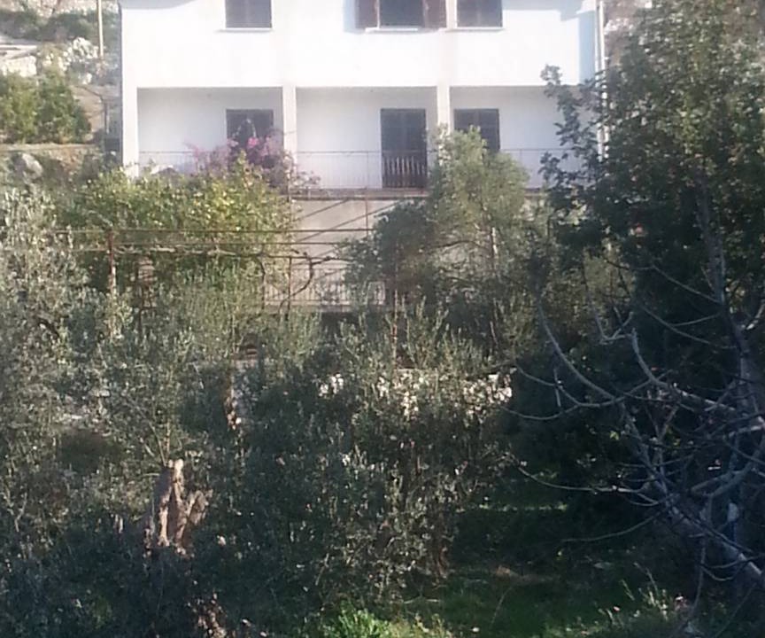 Photo of Others in Krucica