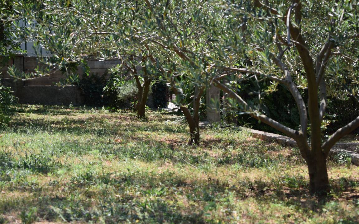 Photo of Others in Sveti Filip i Jakov