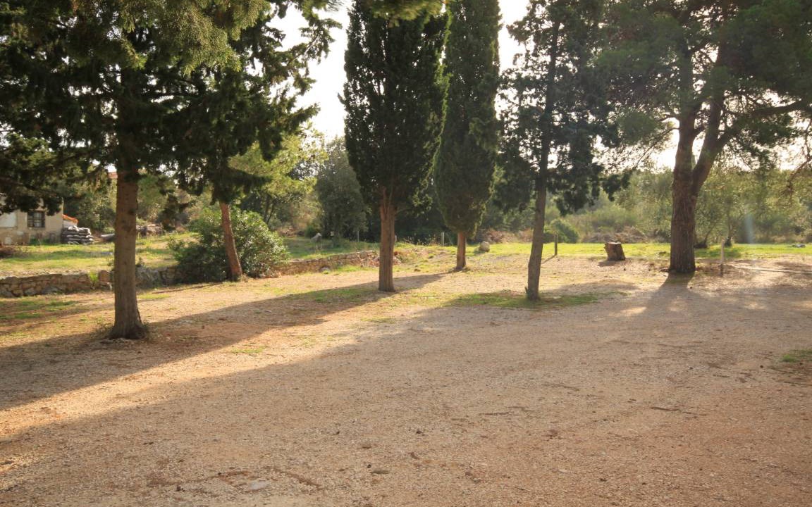 Photo of Others in Muline