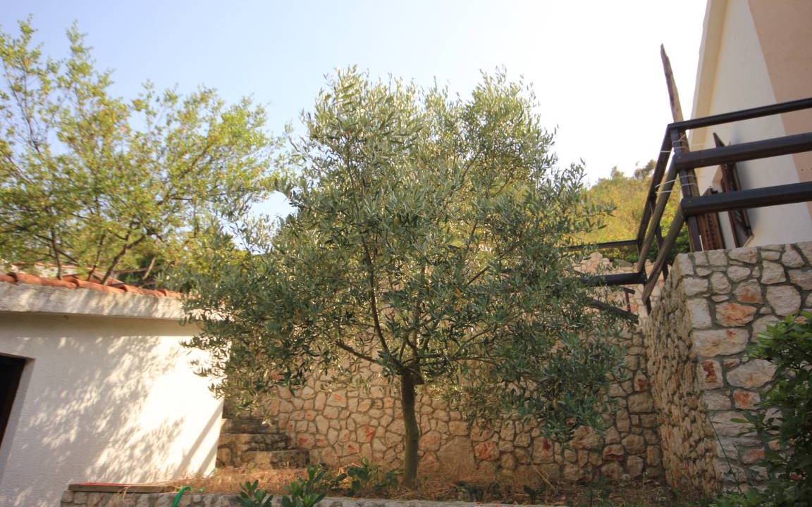 Photo of Others in Island Dugi Otok