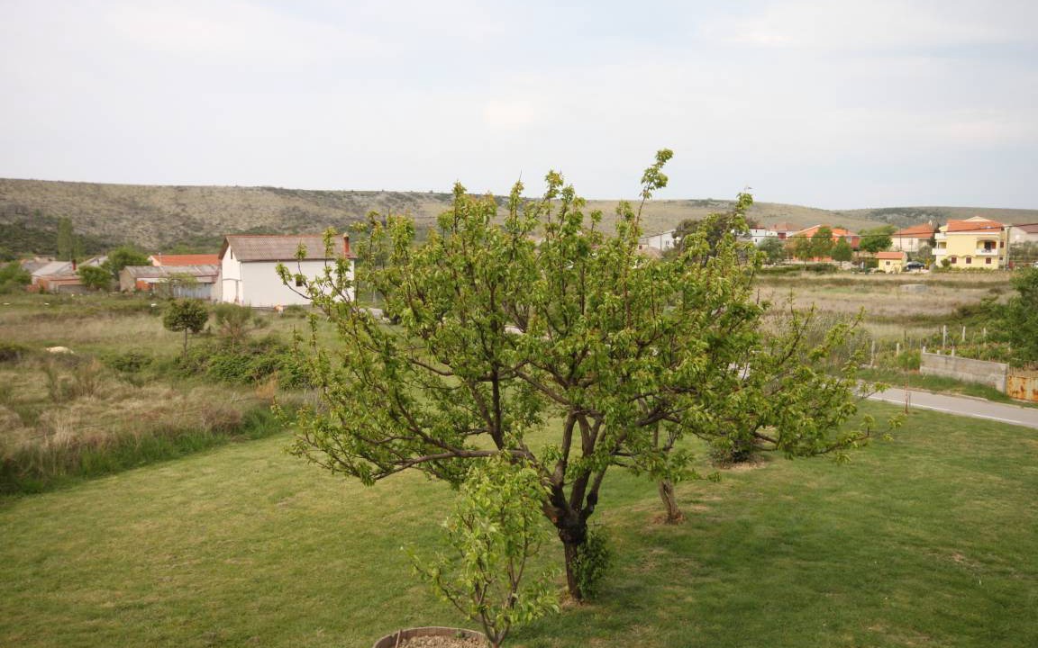 Photo of Others in Ljubac