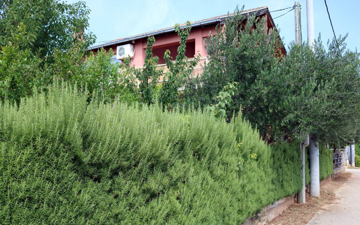 Photo of Others in Gornji Karin