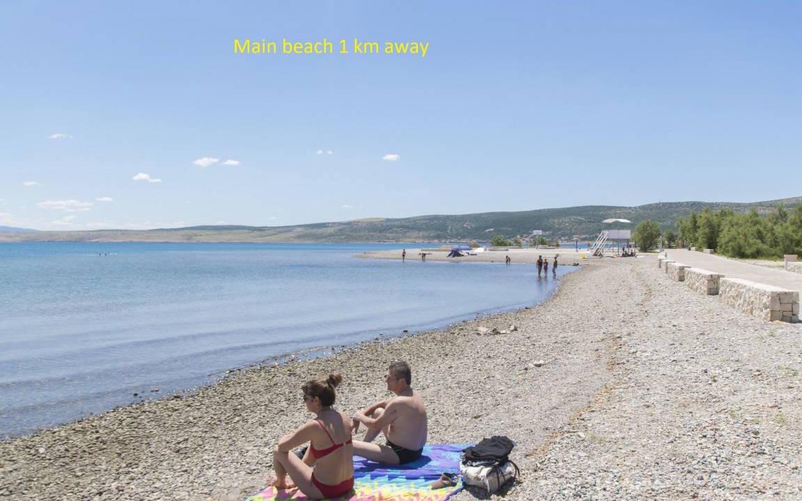 Photo of Others in Seline