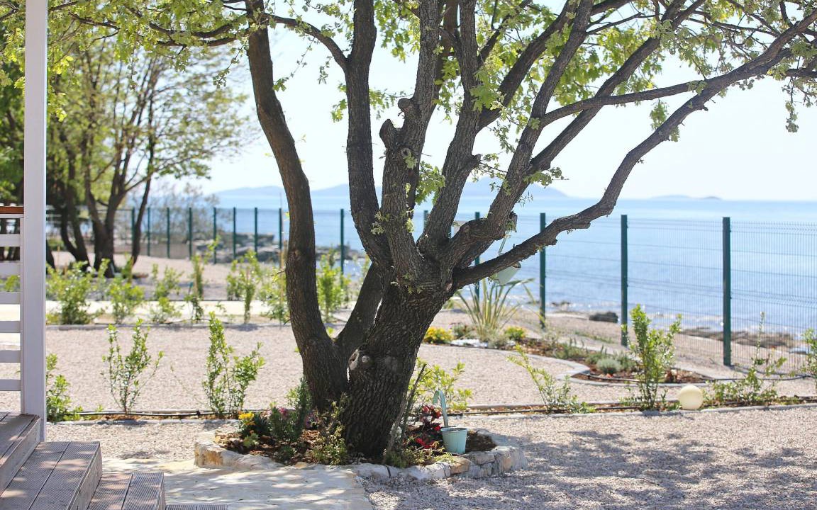Photo of Others in Biograd na Moru