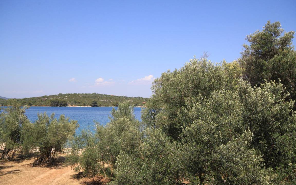 Photo of Others in Luka
