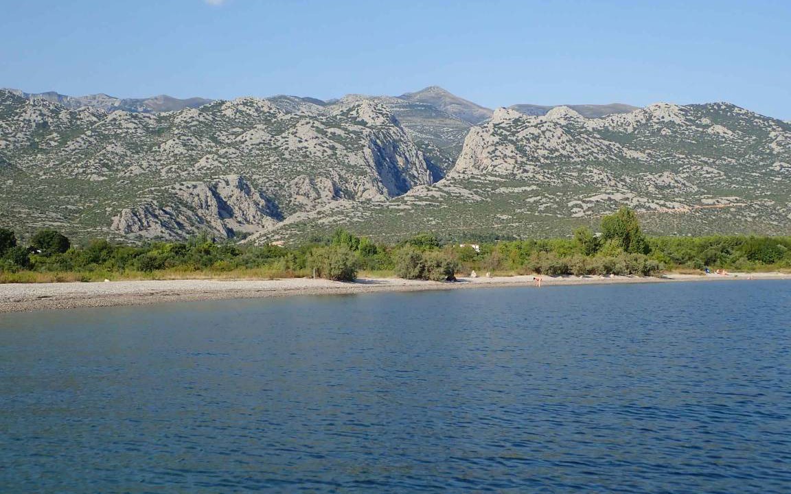 Photo of Others in Seline
