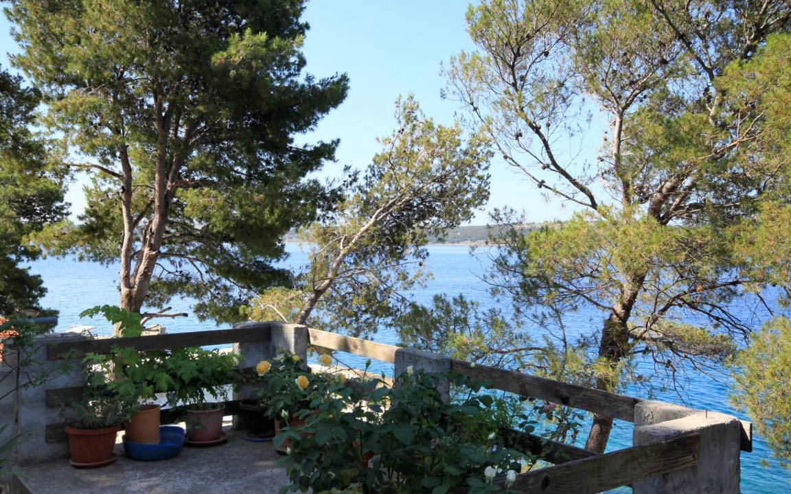 Photo of Others in Island Dugi Otok