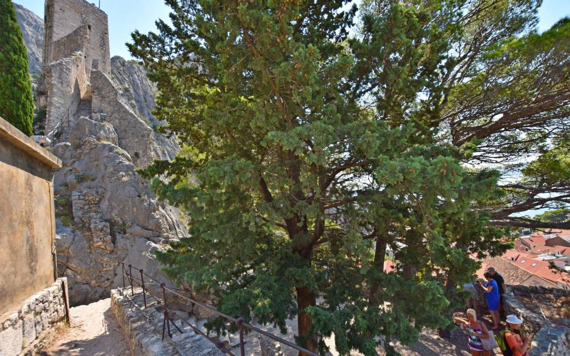 Photo of Others in Omis