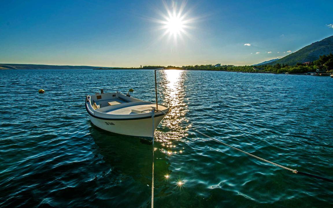 Photo of Others in Seline