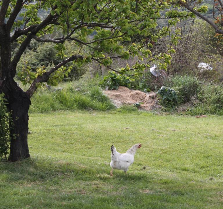 Photo of Others in Ljubac