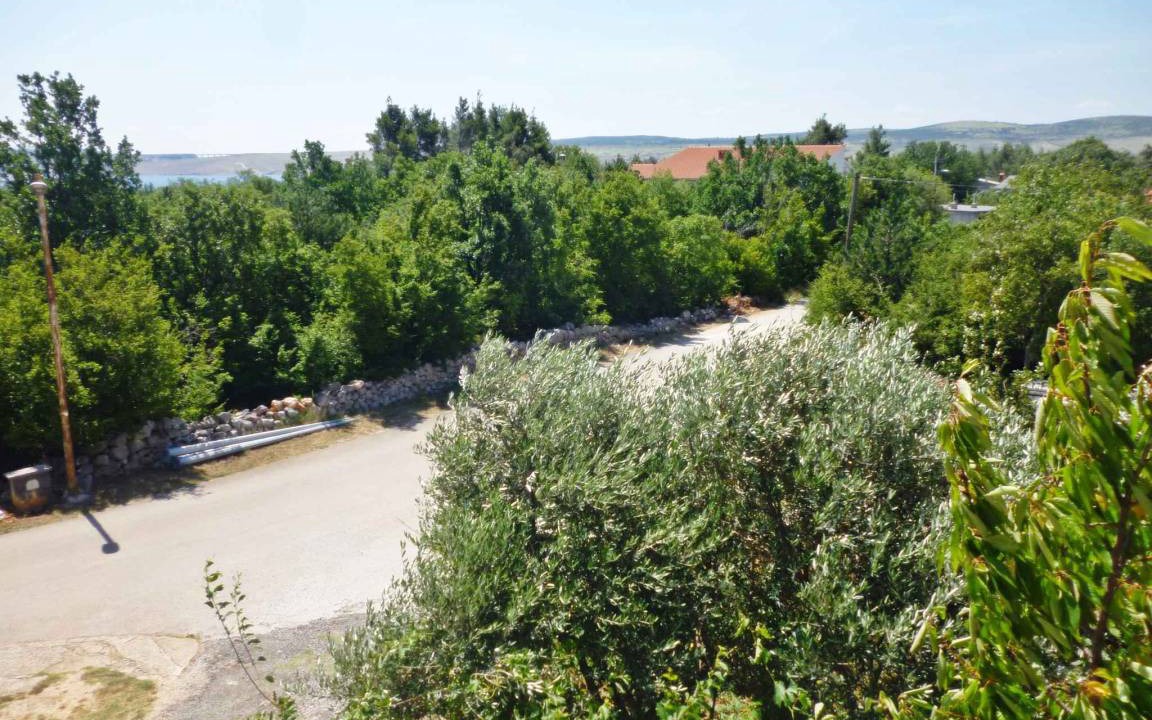 Photo of Others in Seline
