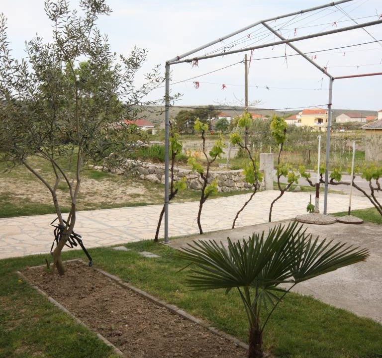 Photo of Others in Ljubac