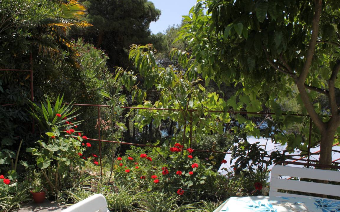 Photo of Others in Cove Murtar