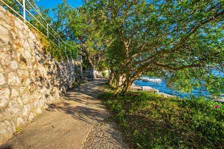 Photo of Others in Starigrad
