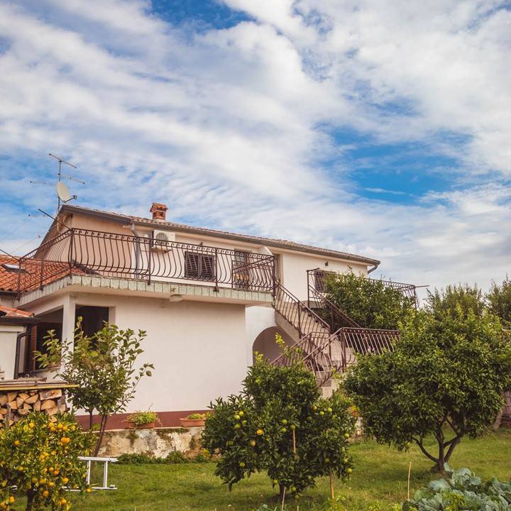 Photo of Others in Zambratija