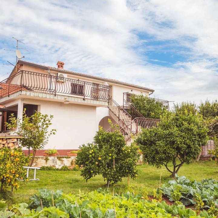 Photo of Others in Zambratija
