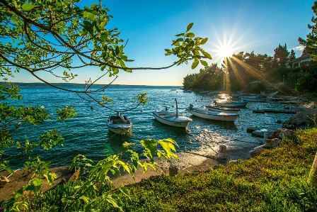 Photo of Others in Starigrad