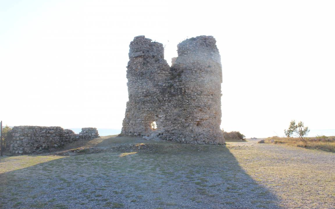 Photo of Others in Seline