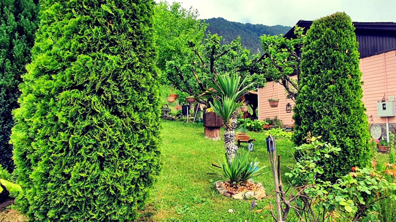 Photo of Outdoor in Trebnje