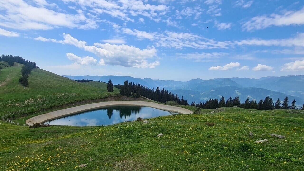 Photo of Others in Mozirje