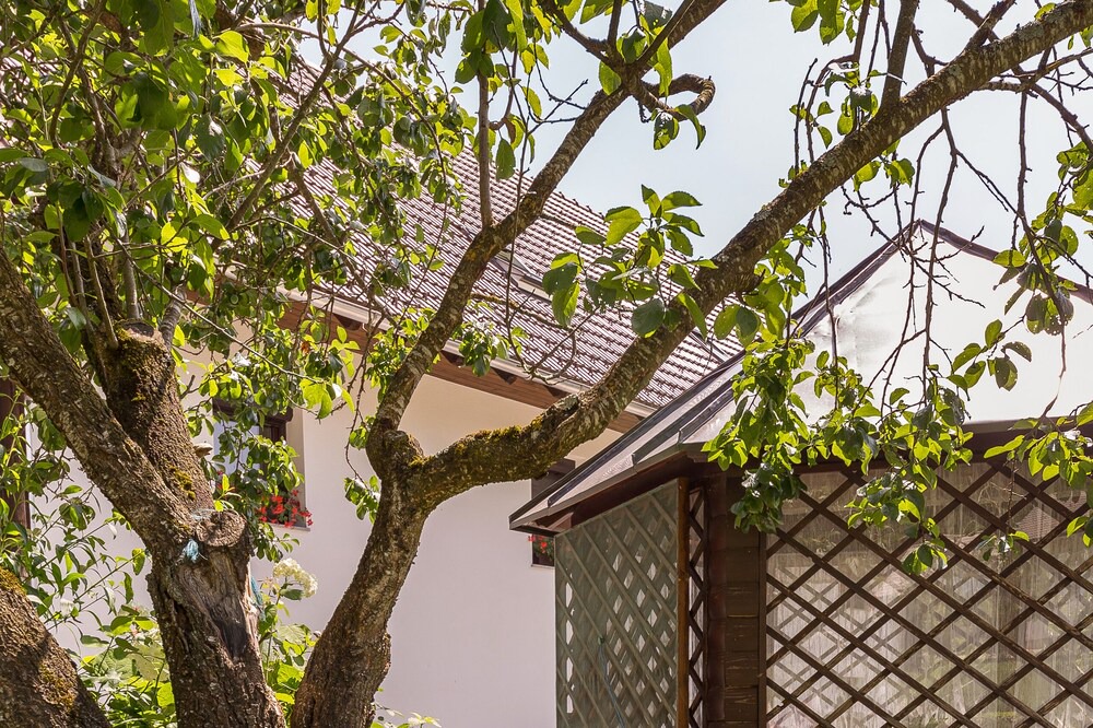 Photo of Outdoor in Bohinj