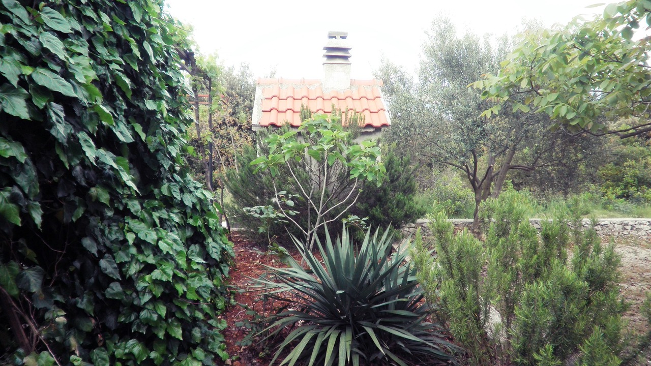 Photo of Outdoor in Drace