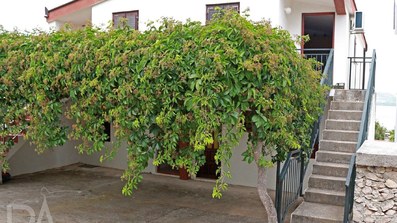 Photo of Outdoor in Drace